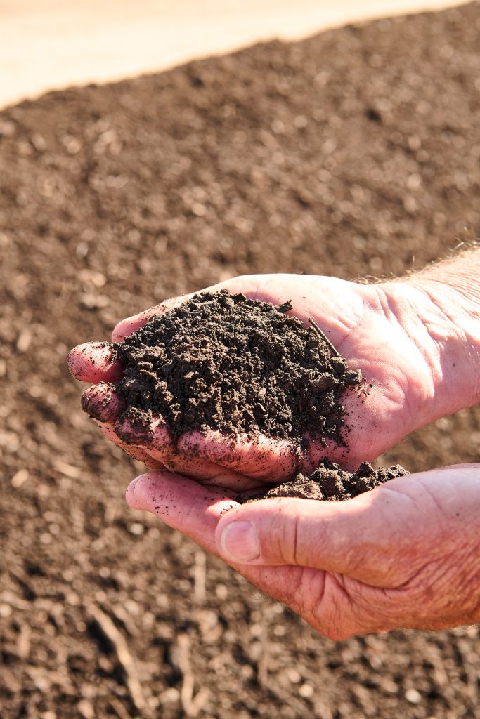 Chase Pecans artesia facility
