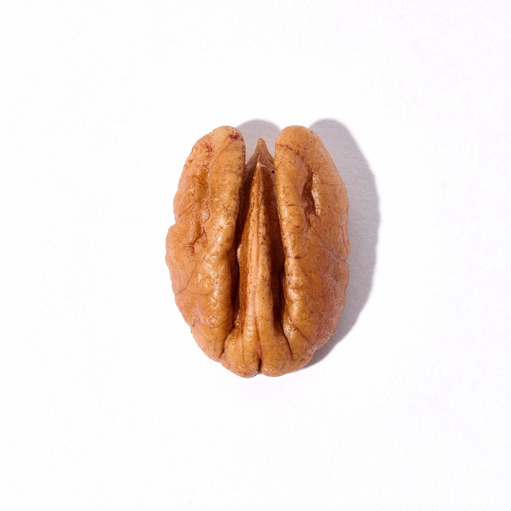 Junior Mammoth pecan half