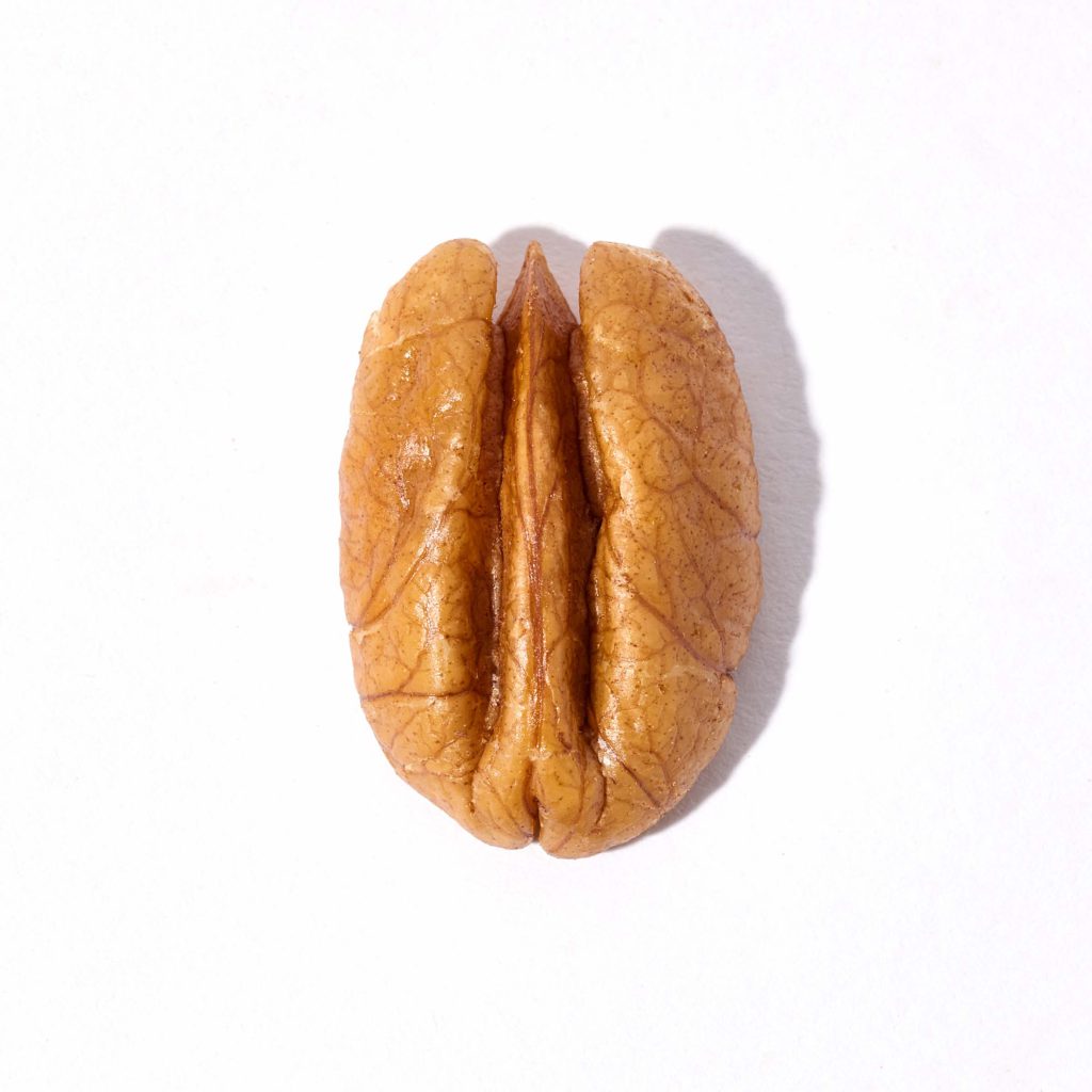 Jumbo pecan half