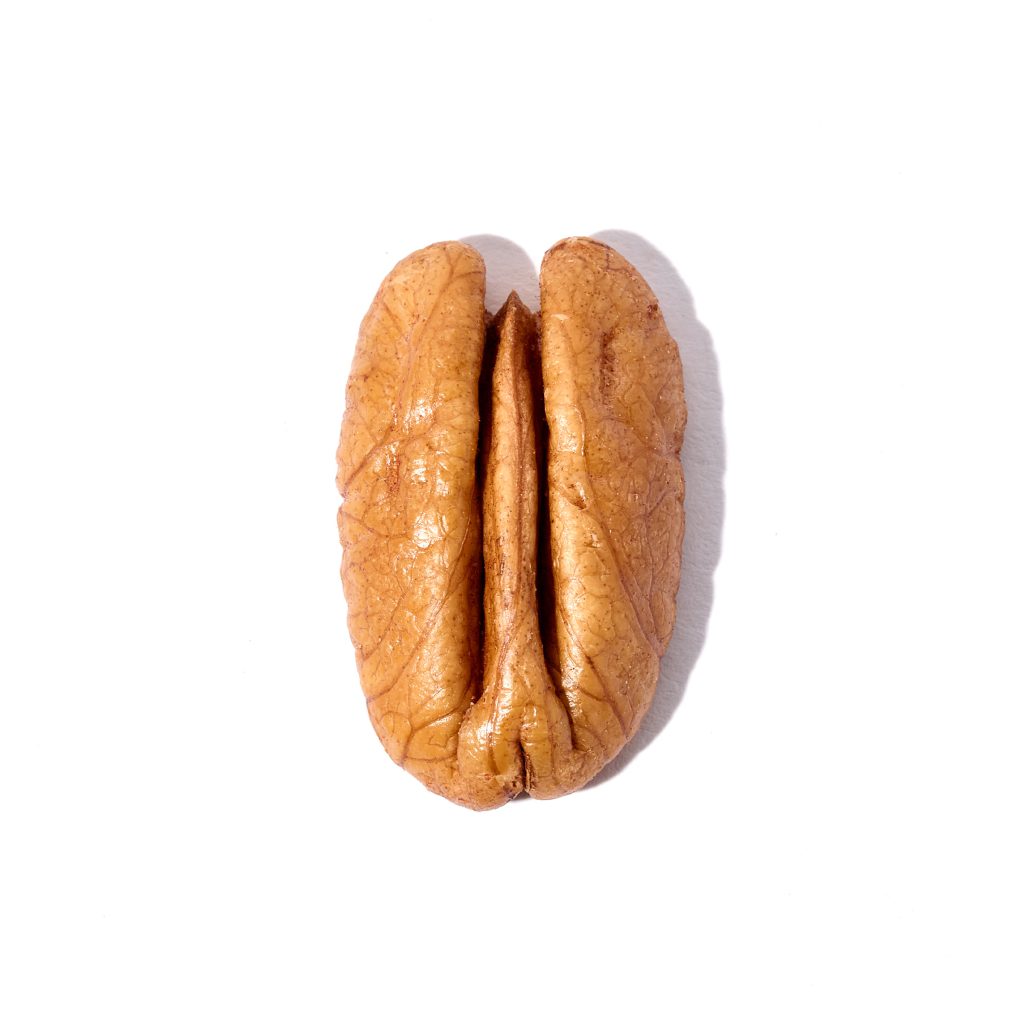 Mammoth Havles Single Pecans from Chase Pecan